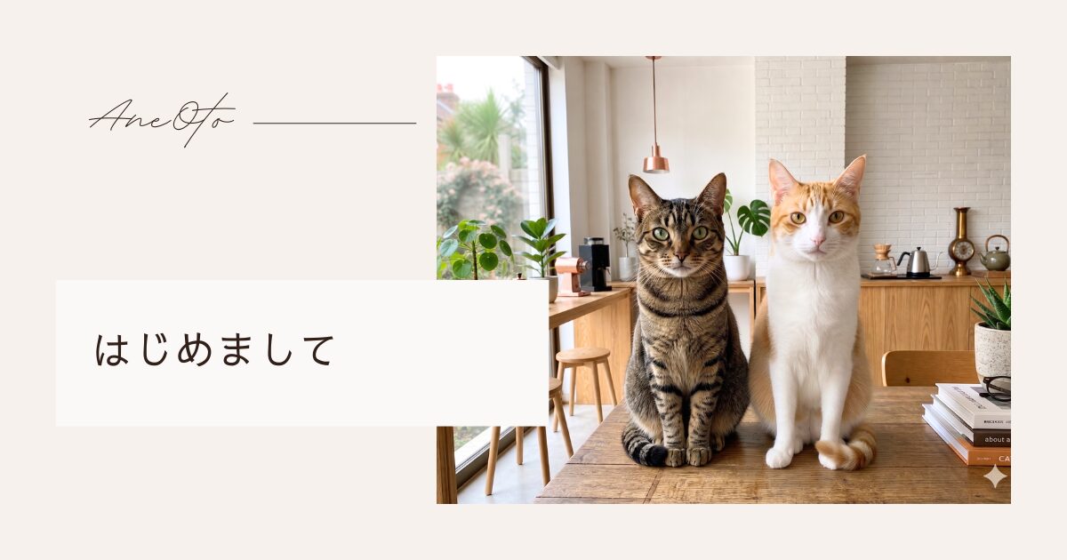 はじめまして